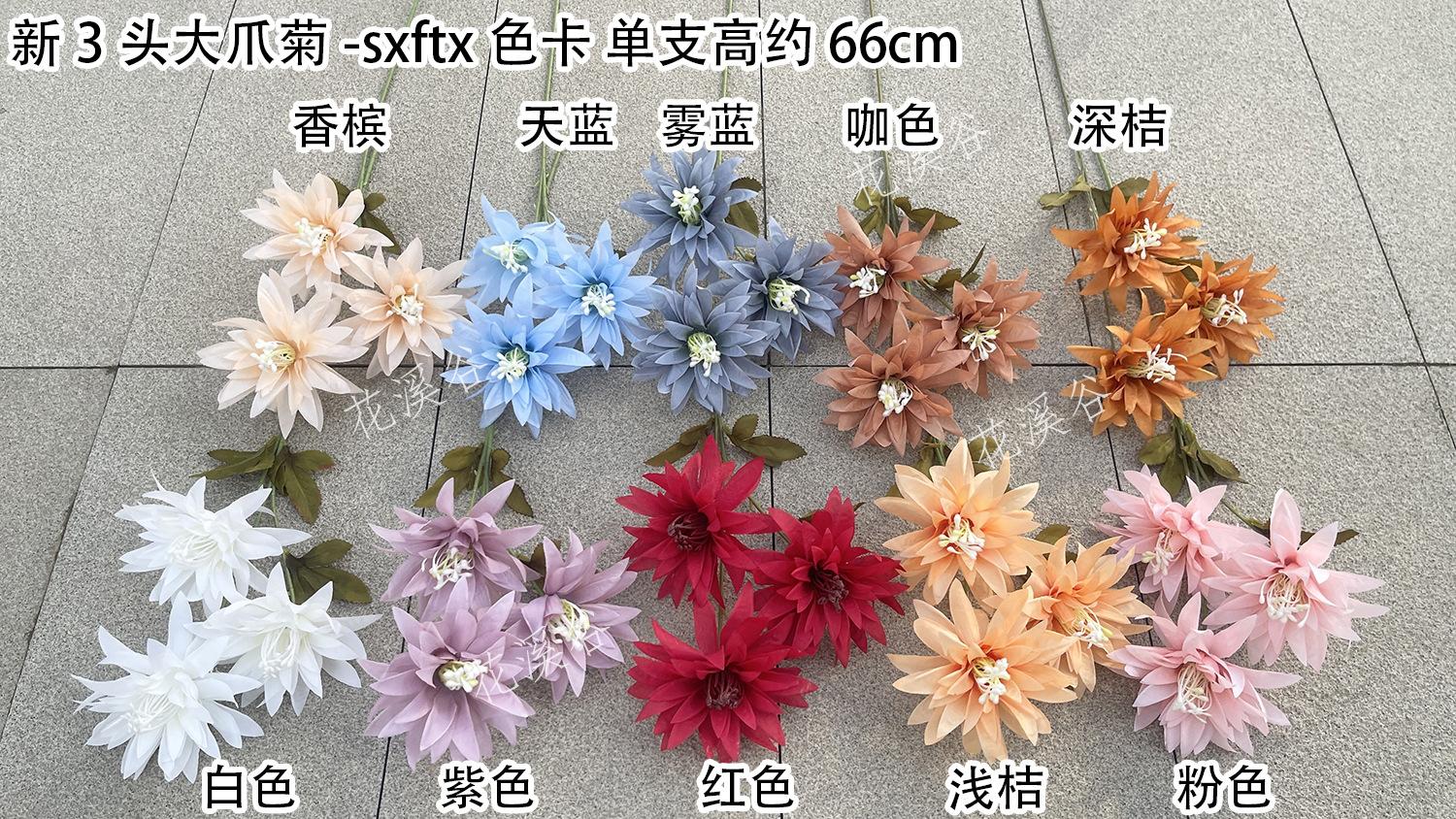 新3头大爪菊-sxftx 色卡 花溪谷.jpg