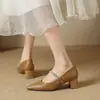 Mary Jane Francesa Salto Bloco Salto Alto 2026 Primavera/Outono Novo Estilo Bico Fino Tira Única Versátil para o Trabalho Cotidiano Sapatos Únicos