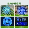 Lámpara de Luz Púrpura de Precisión para Inspección de Vegetales, Alumbre Azul, Solución Azul de Burdeos, Agente Fluorescente, Lámpara de Detección Ultravioleta de 365nm