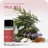 Aromaterapia para Coche Tipo Salida de Aire Aceite Esencial Aromático Perfume para Coche Exclusivo Transfronterizo Estilo Caliente de Amazon 12 Sabores