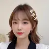 Pinzas para el Cabello de Moda para Mujer 2025 Nuevas Pinzas de Perlas Accesorios para el Cabello Pinzas para Flequillo Pasadores Adornos para el Cabello Pinzas