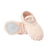 Zapatos de Danza sin Cordones para Niños y Niñas, Zapatos de Práctica de Suela Blanda, Zapatos de Ballet de Danza China, Zapatos de Garra de Gato de Tela Elástica Completa Color Carne