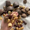 Campanillas de Viento de Cáscara de Fruta Natural, Materiales de Campana de Cáscara de Fruta, Sonajeros de Cáscara de Fruta Natural para DIY, Venta al por Mayor