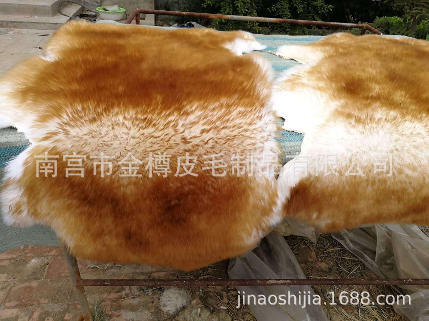 微信图片_20200814150342