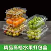 Caixa de Embalagem Descartável para Frutas Caixa Plástica Transparente Caixa de Embalagem para Morango 0,5kg Retangular com Tampa 500g
