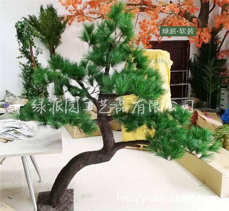 迎客松276.jpg