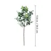 Decorações de Casamento Galhos de Eucalipto com Frutos 10 Galhos Mistos Curtos de Eucalipto para Casamento DIY Decoração de Casa Plantas Verdes