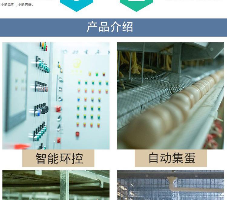 u=2816657371,1956130068&fm