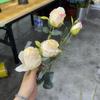 Nova pintura a óleo simulação rosas vintage casamento decoração de casa decoração de mesa borda assada laranja refrigerante rosa