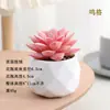 Plantas en Maceta de Suculentas de Diamante Simuladas al por Mayor, Decoración del Hogar, Plantas Suculentas para Oficina, Adornos de Plantas Verdes, En Stock, Entrega Inmediata