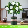 Planta em Vaso Gardênia, Árvore Flor de Tocos Velhos, Planta Verde para Escritório ou Sala de Estar, Bonsai Fácil de Manter, Floresce o Ano Todo, Muda de Árvore Repelente de Mosquitos