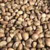 Sementes de Cânhamo 1000g Huamei Medicina Tradicional Chinesa Atacado Sementes de Cânhamo Prontas Novas Chegadas Grande Quantidade Preferencial