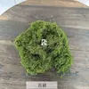 Musgo de simulación césped de musgo planta verde artificial decoración de paisaje de jardinería musgo de lana seda centro comercial belleza Chen diseño