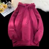 Comercio exterior Europa y Estados Unidos moda de temporada de aguas termales y otoño 360g pesado compuesto color sólido sudadera con capucha camiseta básica en stock