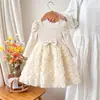 Outono de 2026 E-commerce Transfronteiriço Estilo Princesa Elegante Malha 3D Ondas Patchwork Vestido Linha A