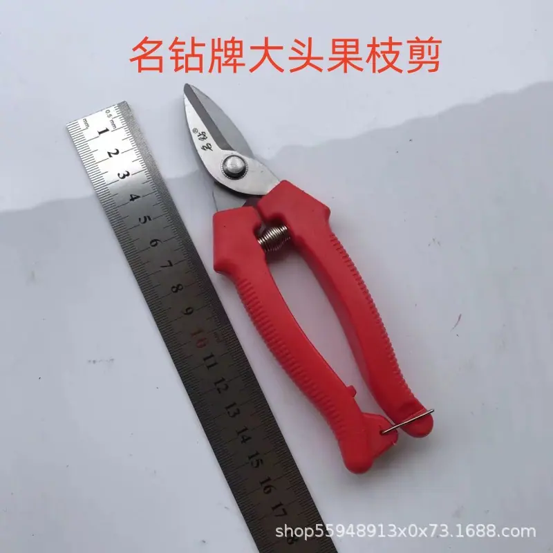 名钻牌大头果枝剪 整枝剪.jpg