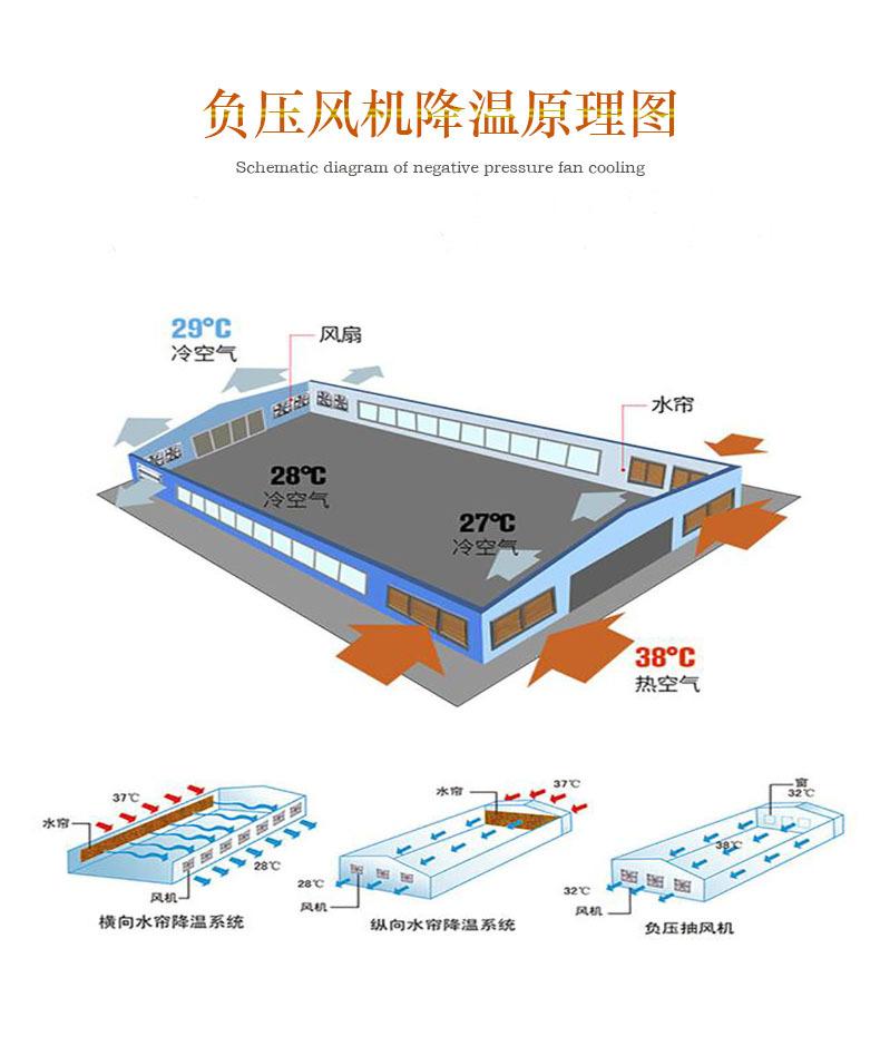 详情页16.jpg
