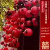 Linternas Rojas de Caracteres para Bodas Decoración de Patio de Boda Arreglo Cadena de Linternas Ambiente Rojo Fotografía de Celebración de Boda China