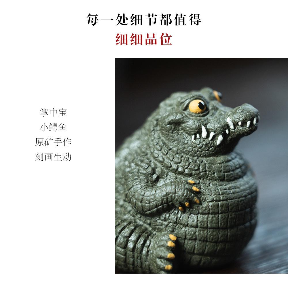 紫砂鳄鱼20230130 (26).jpg