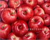 Manzana Verde Estilo Coreano Lienzo Estirado Pintura DIY Pintura de Diamantes 3D Enmarcado Gema Punto de Cruz Suministro Coupang