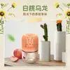 Líquido Aromaterápico Tipo Fragrância para Gaiola de Pássaro para Uso Doméstico, Tipo Horizontal, Adequado para Sala de Estudo e Banheiro, Perfume Desodorizante Popular, Fragrância Sonho