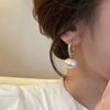Pendientes de perlas con microincrustaciones para mujer 2023, nuevos y modernos pendientes elegantes de diseño nicho, pendientes de estilo occidental de lujo ligeros de alta calidad.