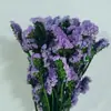 Inmortal nomeolvides venta al por mayor base suministro directo cabeza de flor calidad completa buen nomeolvides ramo de flor seca