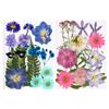 Nuevo Paquete de Materiales DIY Hecho a Mano en Relieve Maquillaje Estilismo Foto Personal Maquillaje Facial Flores Secas Especímenes de Plantas en Relieve