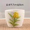 Set combinado de maceta de flor carnosa estilo coreano creativo para plantas suculentas jardinería liquidación al por mayor una generación de pelo