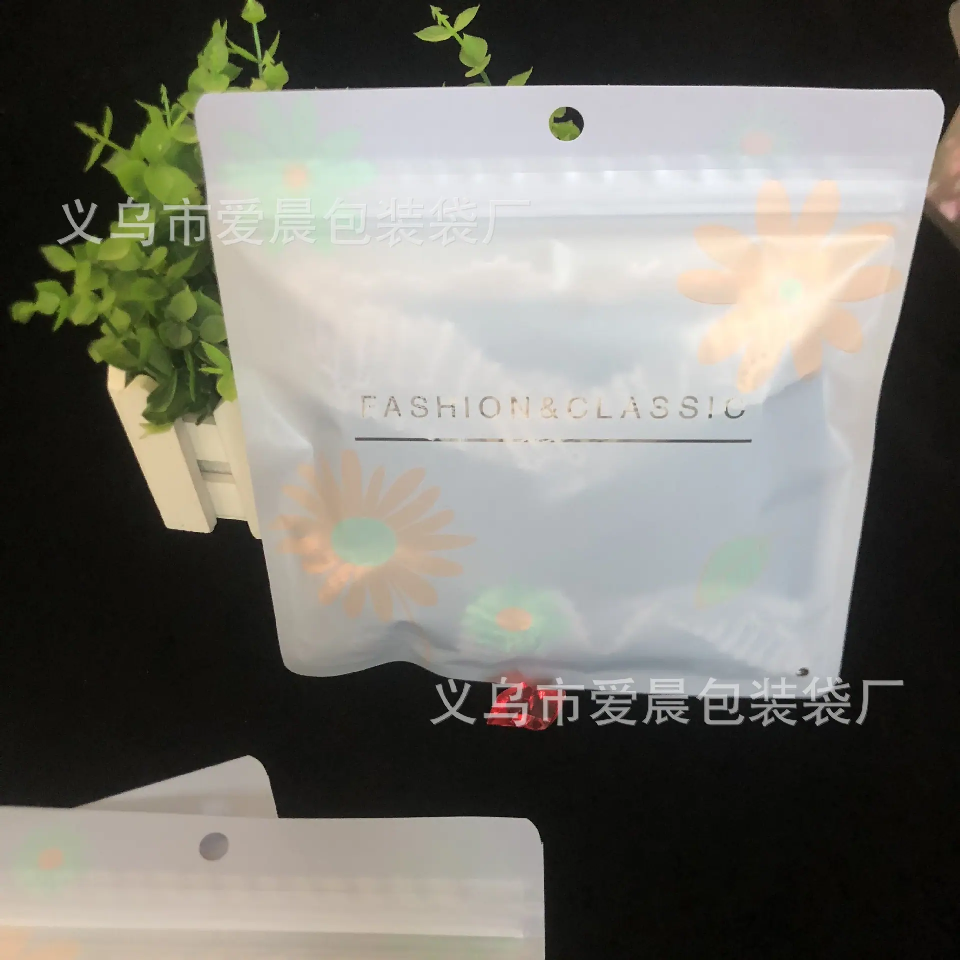 2021图片集IMG_2238