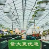 Sistema de Riego por Goteo para Plantas de Arándanos en Maceta con Dispositivo de Control de Flujo Constante