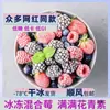 Frutas Vermelhas Mistas Congeladas, Mirtilos Congelados, Framboesas Vermelhas, Amoras, Tigelas de Iogurte Leve Congelado, Milkshakes, Frutas Vermelhas Congeladas