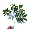 Dongguan planta verde artificial Árbol grande rama plana Hoja Naranja Hoja de Arce Higuera Francesa hoja de té hoja de plástico