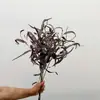 Folhas de eucalipto flores artificiais flores falsas decoração de casa casamento plantas verdes artificiais arranjos florais de casamento decoração de sala de estar
