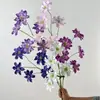 Nova Flor Begônia de Cinco Cabeças Casamento Flor Artificial Atacado Celebridade da Internet Decoração de Casamento Decoração Suave Adereços de Fotografia Flor Falsa