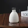 Estilo Ins Vaso Pequeno de Cerâmica Branca DIY Pintado Grafite Simples Queimado Vaso Pequeno Casa Mesa Entrada Vaso para Flores Secas