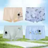 Categoría Ropa Interior para Niños A Algodón Puro Algodón de Color Natural Ropa Interior para Niños Pequeño, Mediano y Grande Ropa Interior Infantil Boxer sin Costuras Antibacteriano