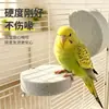 Palo posadero para loros suministros para aves, plataforma posadero creativa para pájaros, tabla para afilar garras y pico, plataforma de salto para periquitos, accesorios de paisajismo para jaulas de pájaros