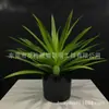 Planta de Simulação Sala de Estar Vasos Chão Janela Decoração Paisagem Interna Decoração Sisal Agave Verde Vermelho de Simulação