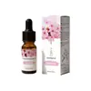 Suministro Exclusivo Transfronterizo de Aceites Esenciales para Velas, Aceites Esenciales de Aromaterapia Botella de 10ml Aceite de Fragancia DIY 10ml