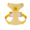 Guia de Cachorro para Cães Pequenos, Teddy, Bichon, Spitz Alemão, Coleira Peitoral, Guia para Passeio de Filhote, Corrente para Cachorro
