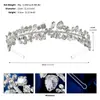 Diadema Super Flash de Pedrería Transfronteriza, Gama Alta, Lujo Ligero, Accesorios Versátiles para el Cabello de Boda, Diadema de Flor de Ciruelo y Hoja de Diamante Hecha a Mano al por Mayor