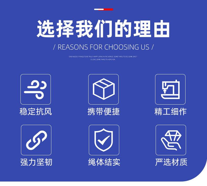 鼎力排球网_03.jpg