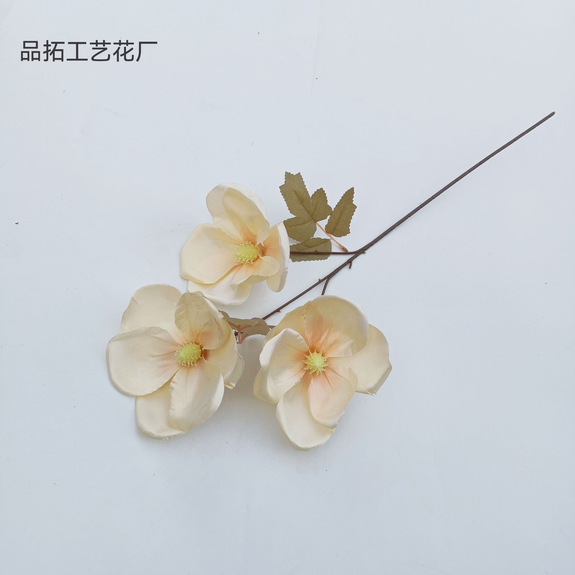 63049ea6f11952b10395b8aa15bd0e