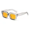 Gafas de sol Jamie 5205 con Montura Cuadrada Nueva, Gafas Decorativas de Plástico a la Moda, Gafas de Sol Pequeñas de Montura Tendencia Europeas y Americanas