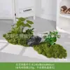 [Série Huair de Três Caracteres] Musgo Artificial Simulado Bonsai Planta Verde Decoração Arranjo Exibição de Janela Bonsai