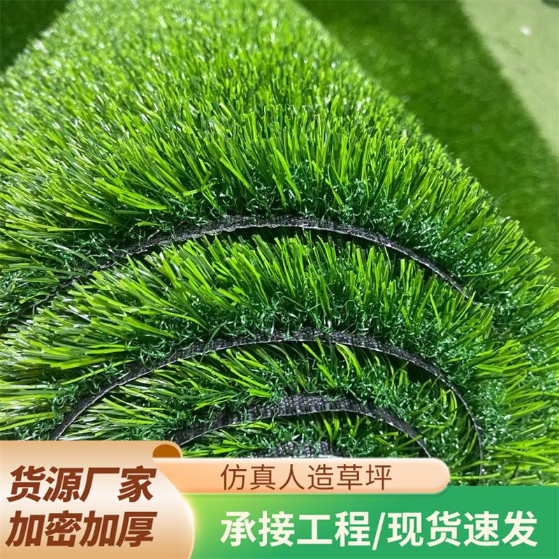 cf62cdd9-937b-4c2d-be9d-26c017