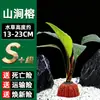 Piedra Volcánica Plantas Acuáticas Plantas Hidropónicas Paisajismo de Acuarios Plantas Acuáticas Sauce Acuático Hierba Ciempiés Crisantemo Verde Plantas Acuáticas Tolerantes a la Sombra Plantas Reales Venta al por Mayor