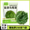 Bambúes de Petardo Ingredientes para Hot Pot Brotes de Bambú Marino Verduras de Longevidad Brotes de Bambú de Petardo Frescos Verduras de Algas Marinas Kelp Salado Venta Directa de Fábrica