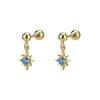 Brincos de celebridades da Internet em prata esterlina S925, temperamento feminino, personalidade coreana, brincos de parafuso de prata, brincos pequenos de estrela